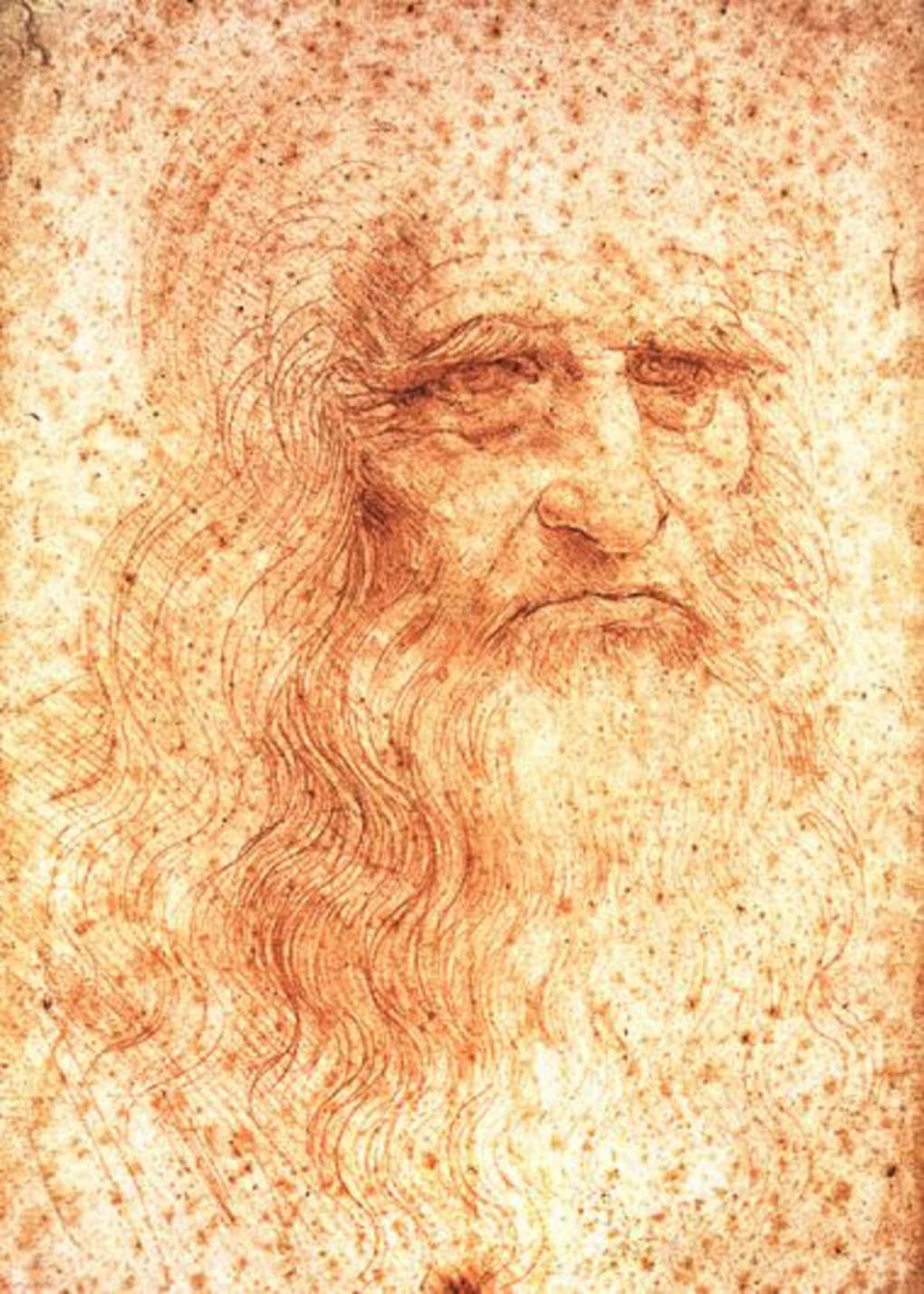 Portrait of a Man in Red Chalk – Leonardo da Vinci